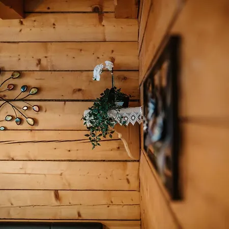 Zwislegggut Casa vacanze