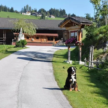 Zwislegggut Casa vacanze